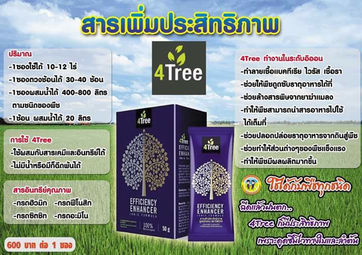 4TREE โฟทรี สารเพิ่มประสิทธิภาพสูตรอิออน ตัวแทนจำหน่าย | iAddSEO