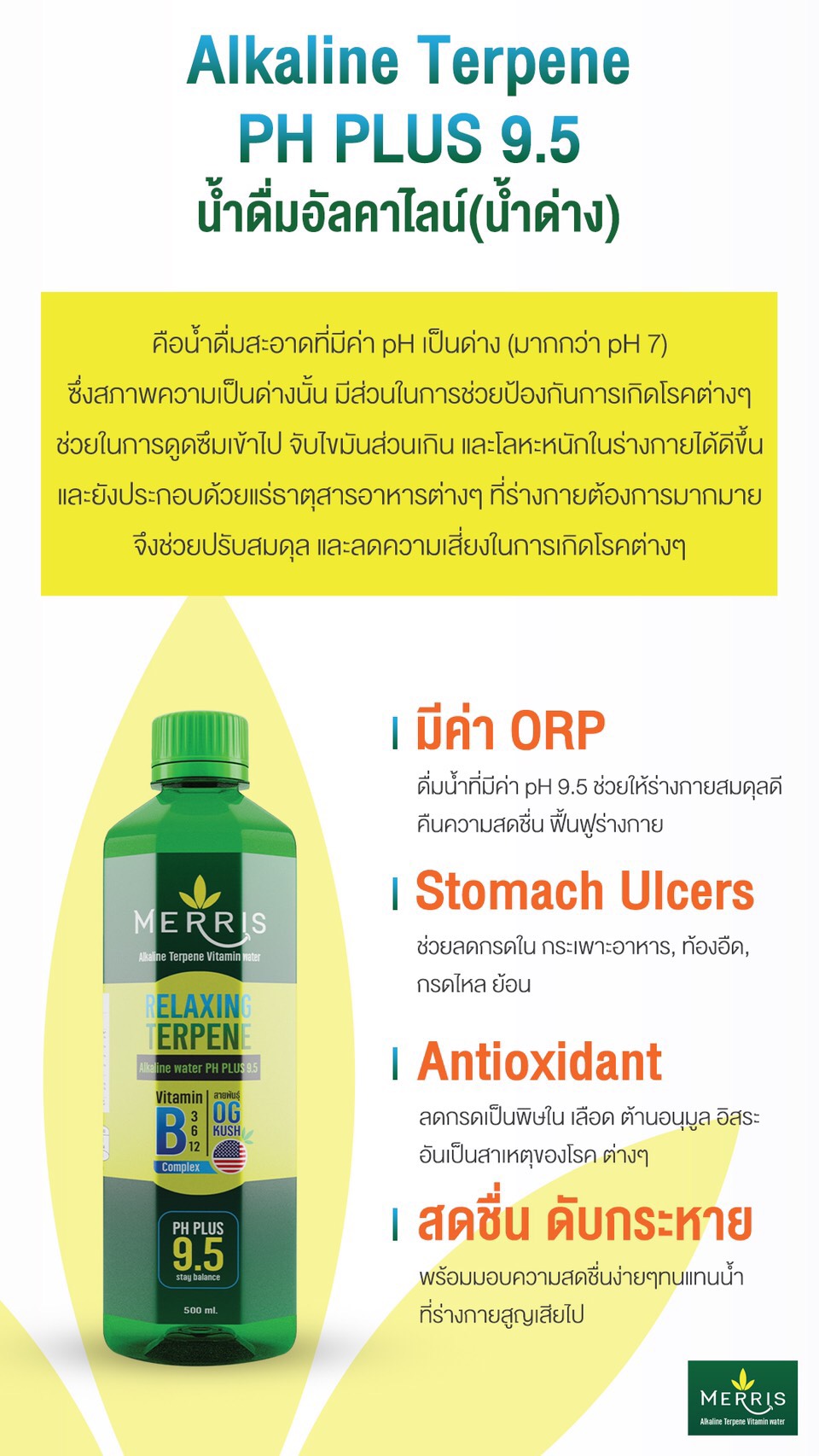 merris เมอร์ริส น้ำดื่มอารมย์ดี รีวิว