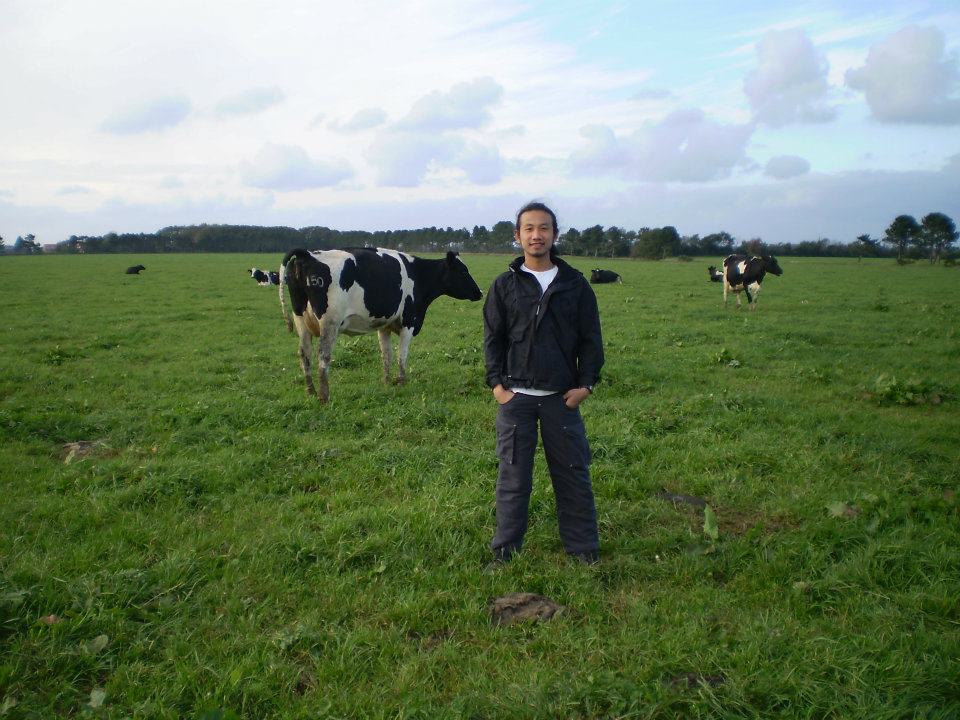 ฝึกงานฟาร์มวัว ที่ประเทศเดนมาร์ก