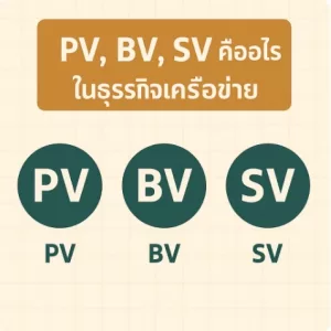 PV, BV, SV คืออะไรในธุรกิจเครือข่าย