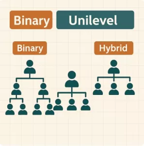โครงสร้าง Binary, Unilevel และ Hybrid